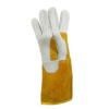 P3835 Palm